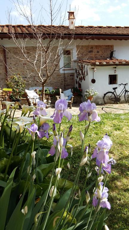 Il Colle Calci Villa Екстериор снимка