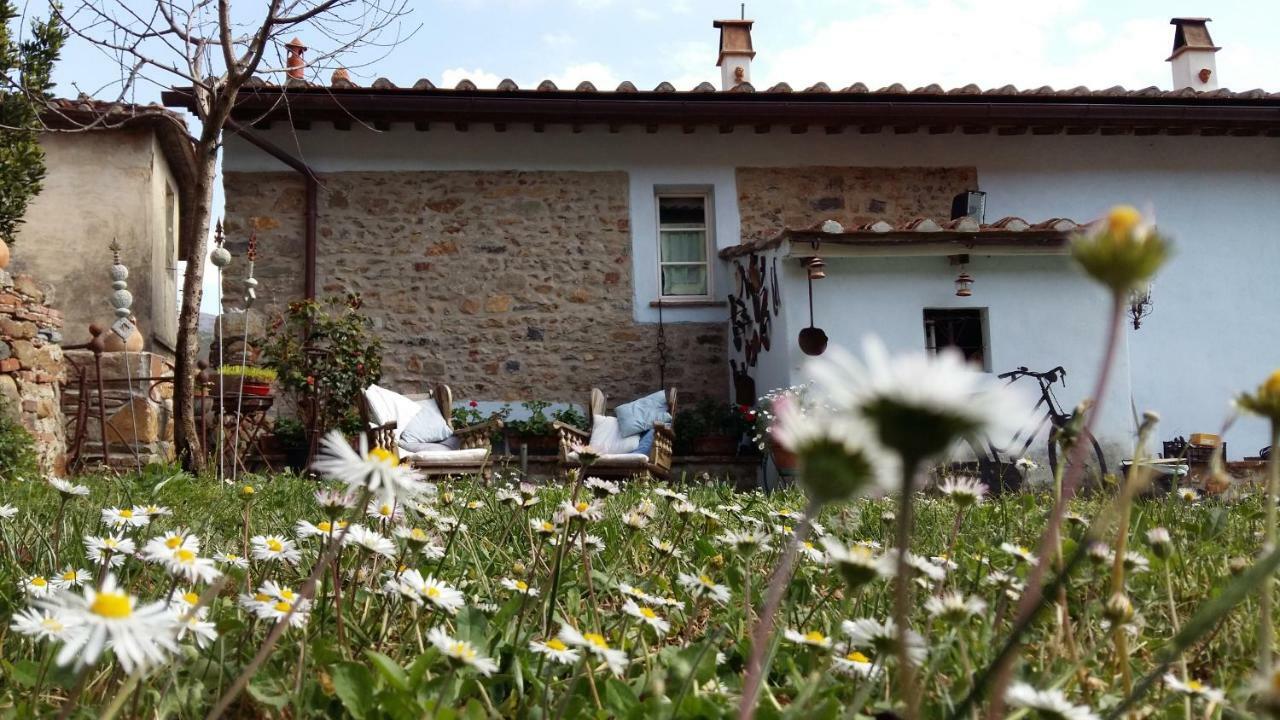 Il Colle Calci Villa Екстериор снимка