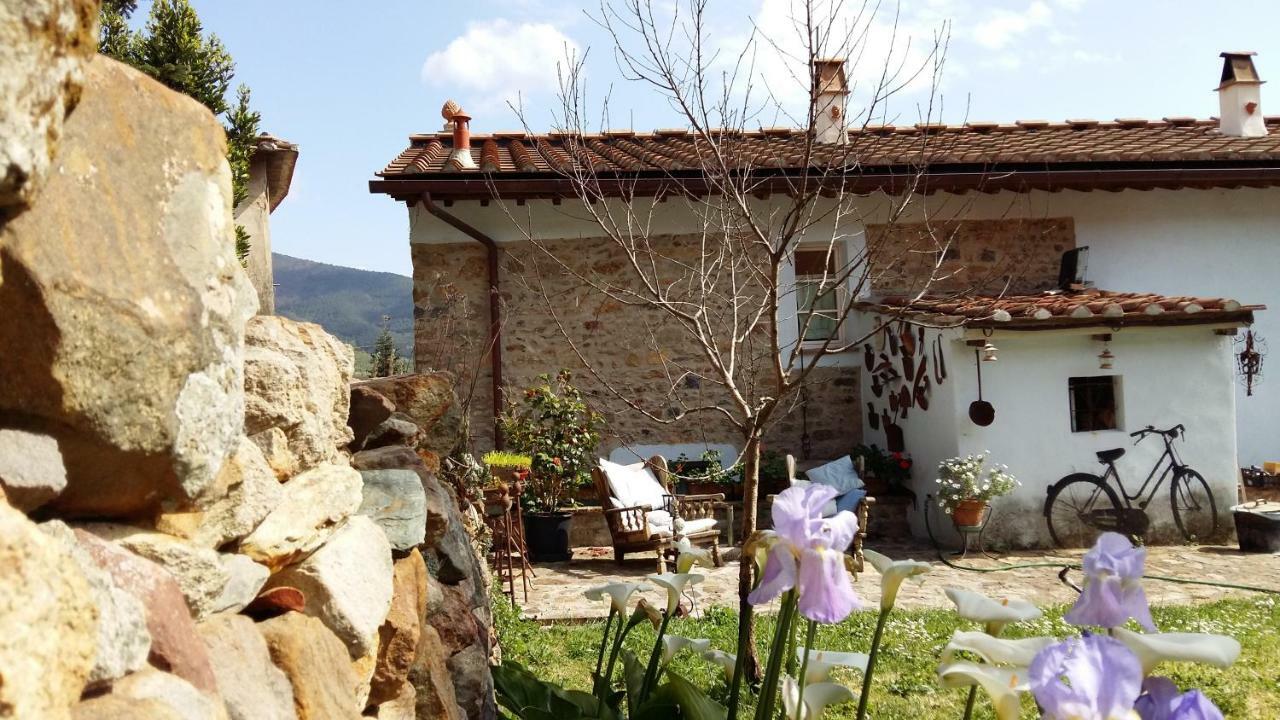 Il Colle Calci Villa Екстериор снимка