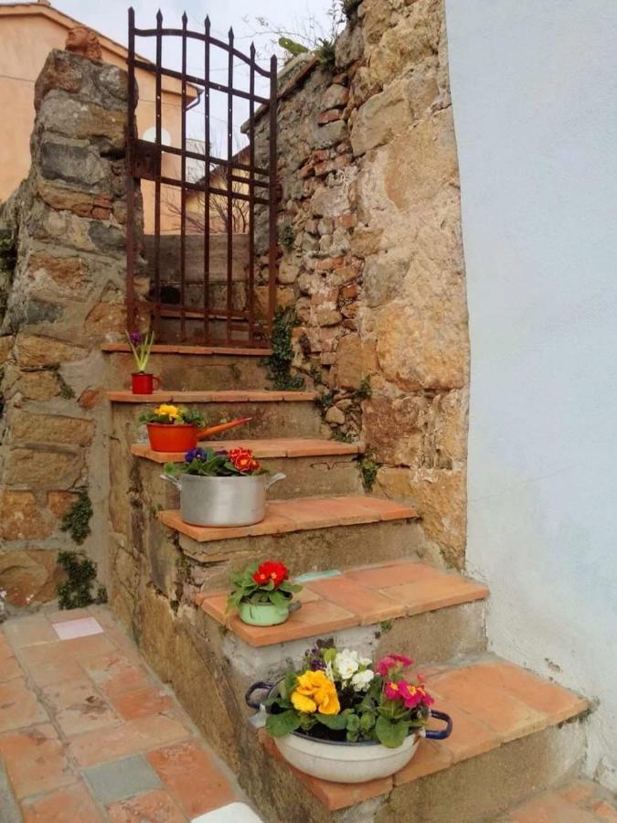Il Colle Calci Villa Екстериор снимка